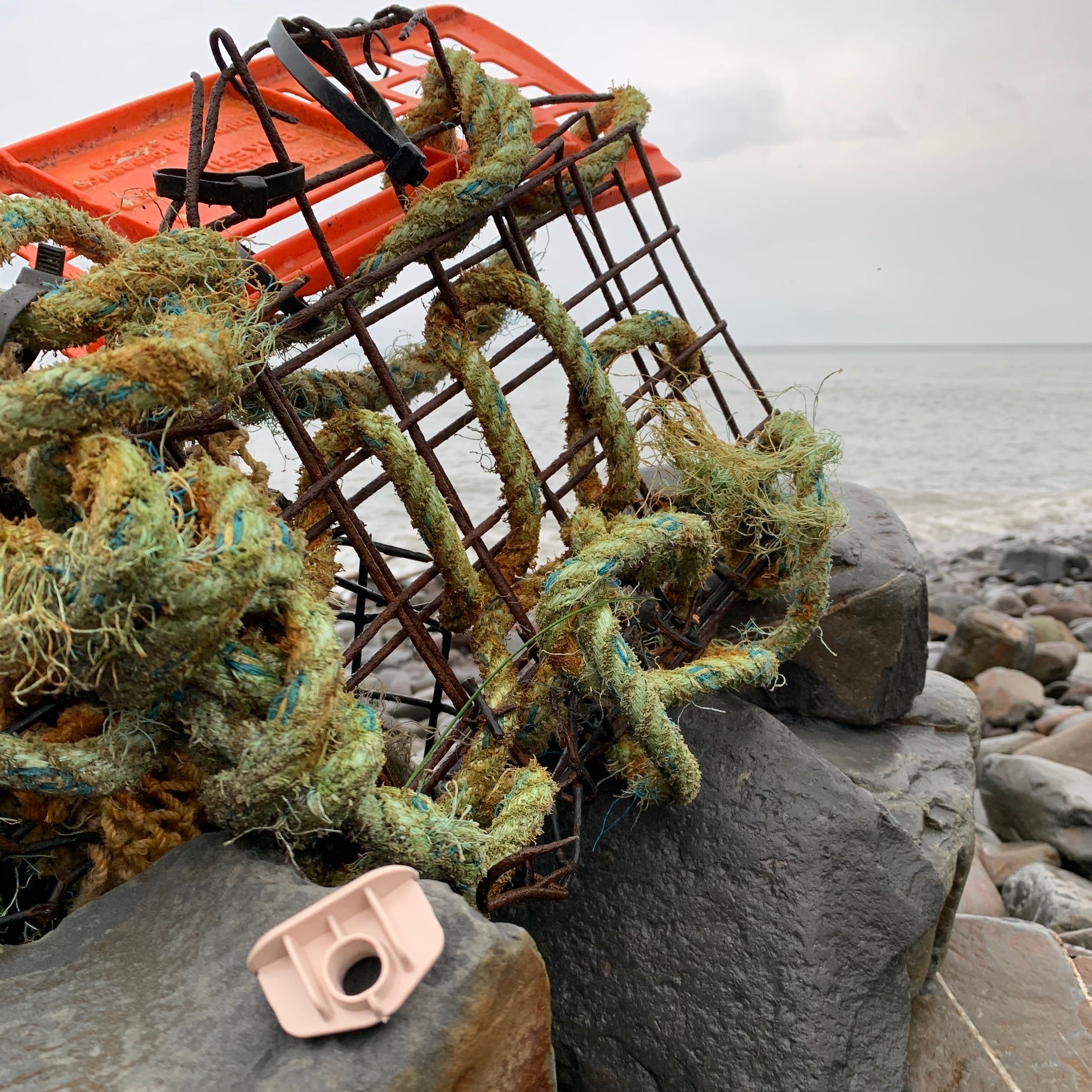 Ocean waste 