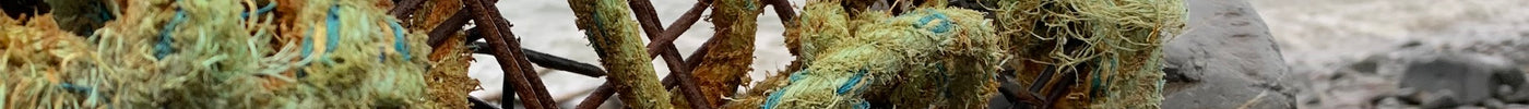 Ocean waste 