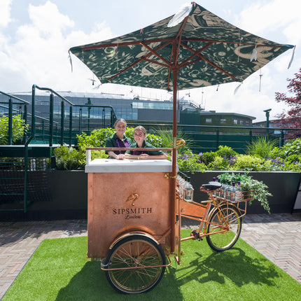 Printed Parasols
