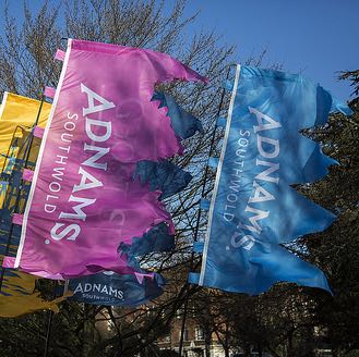 Festival flags